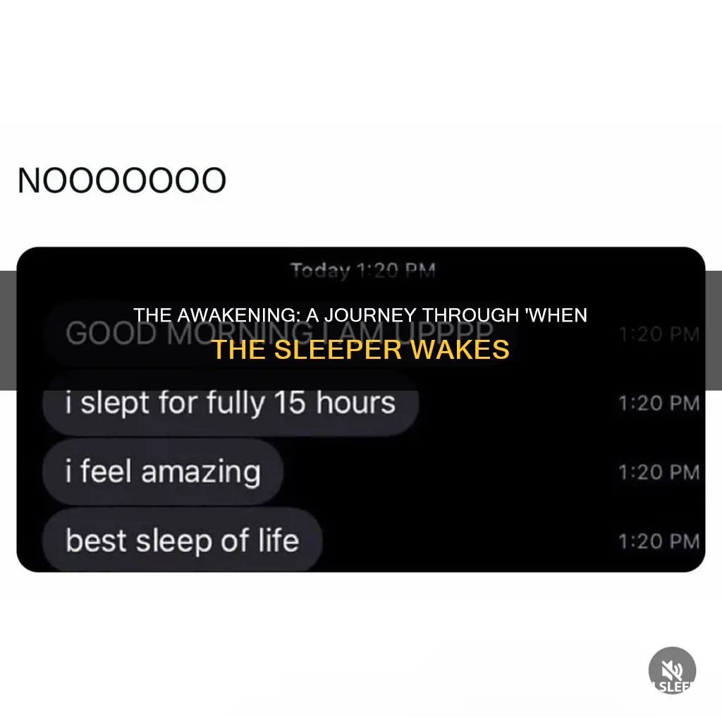 when the sleeper wakes cliff notes