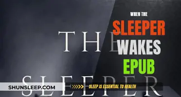 The Awakening: A Journey Through 'When the Sleeper Wakes' EPUB