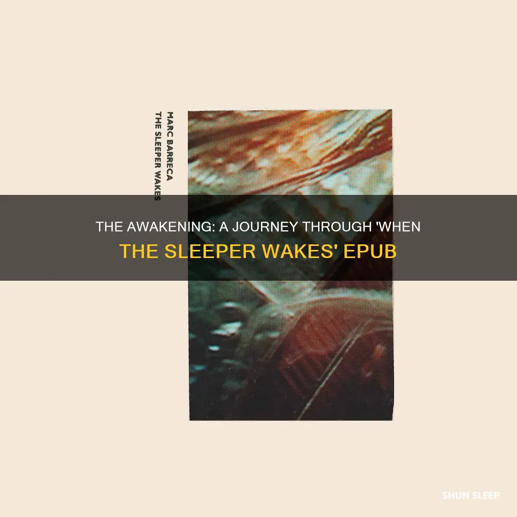 when the sleeper wakes epub