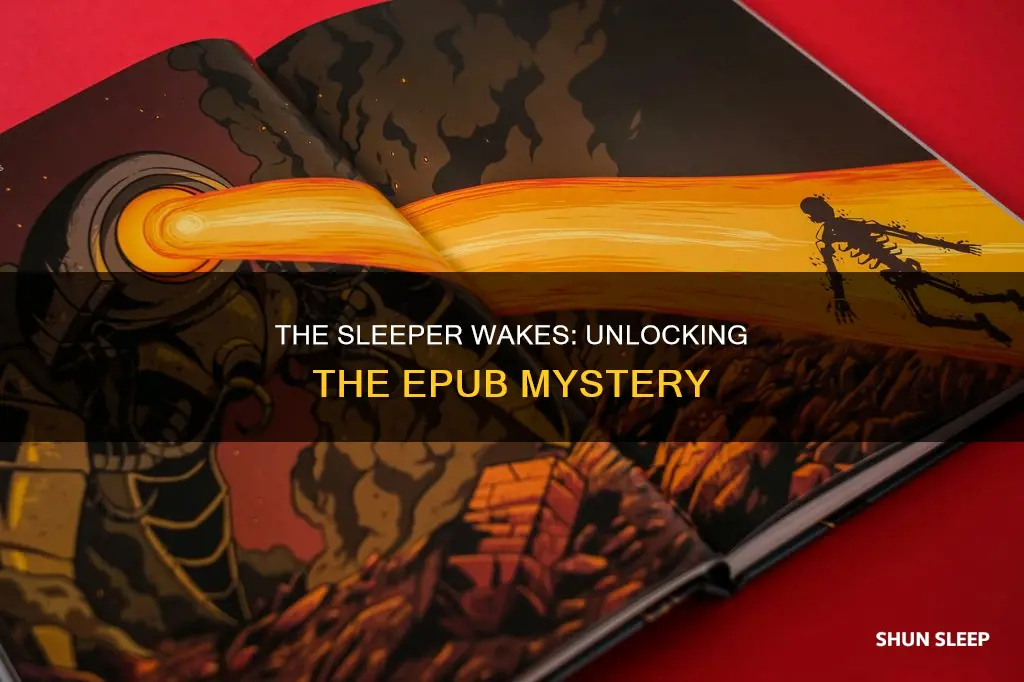 when the sleeper wakes epub