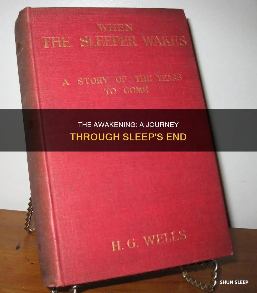 when the sleeper wakes essay