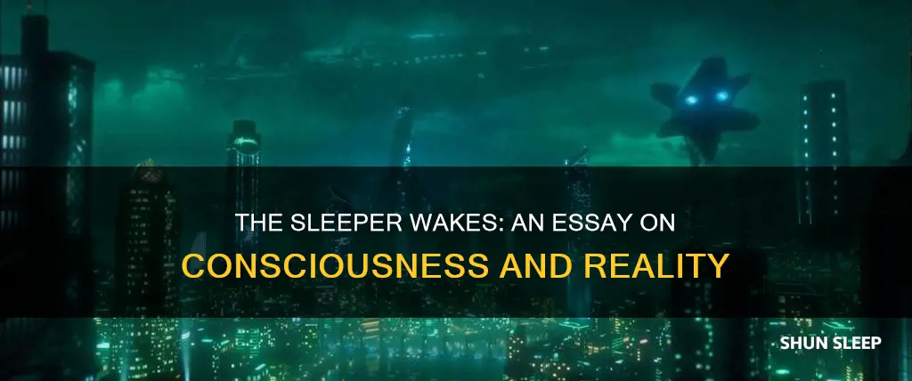 when the sleeper wakes essay