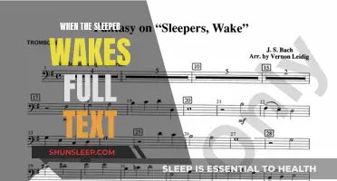 The Awakening: Unveiling the Power of 'When the Sleeper Wakes