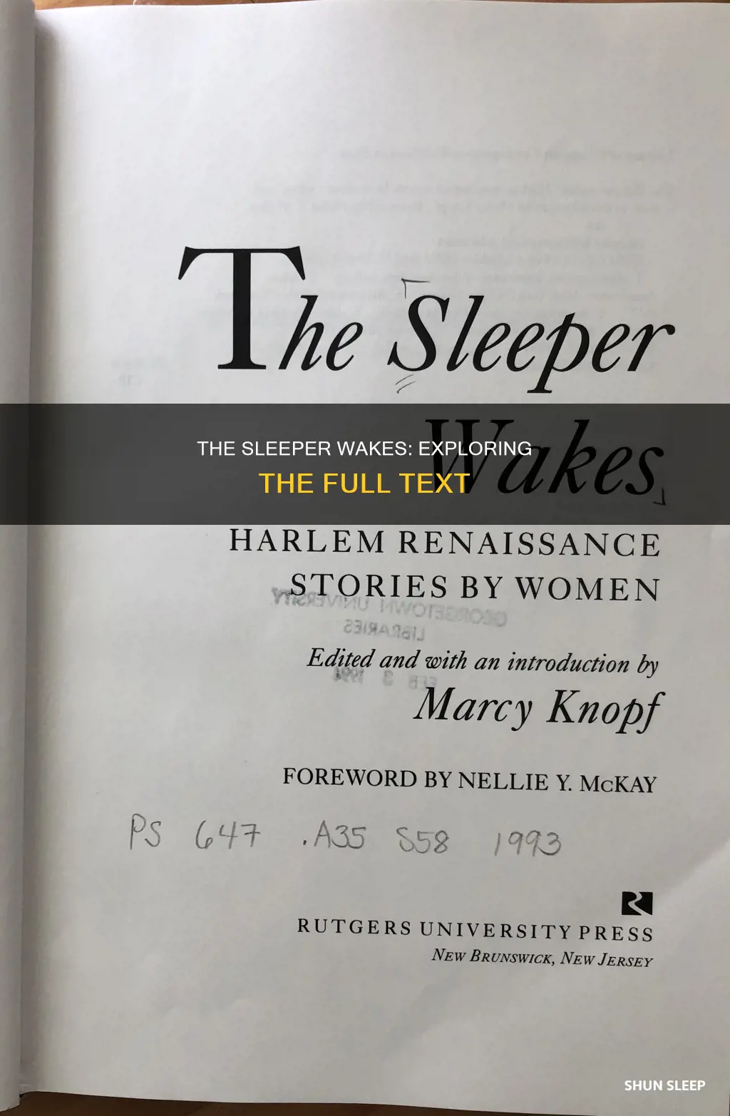 when the sleeper wakes full text