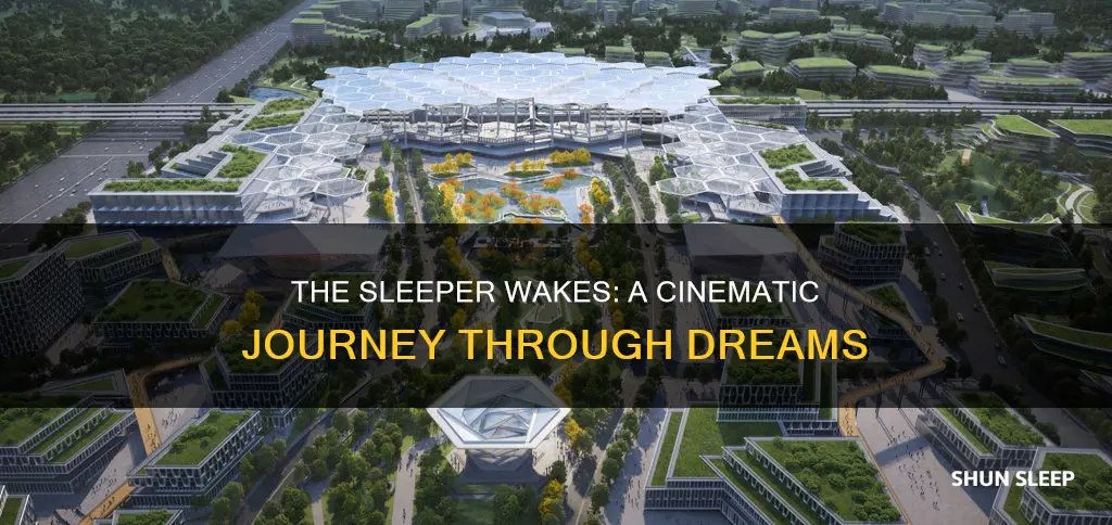 when the sleeper wakes movie
