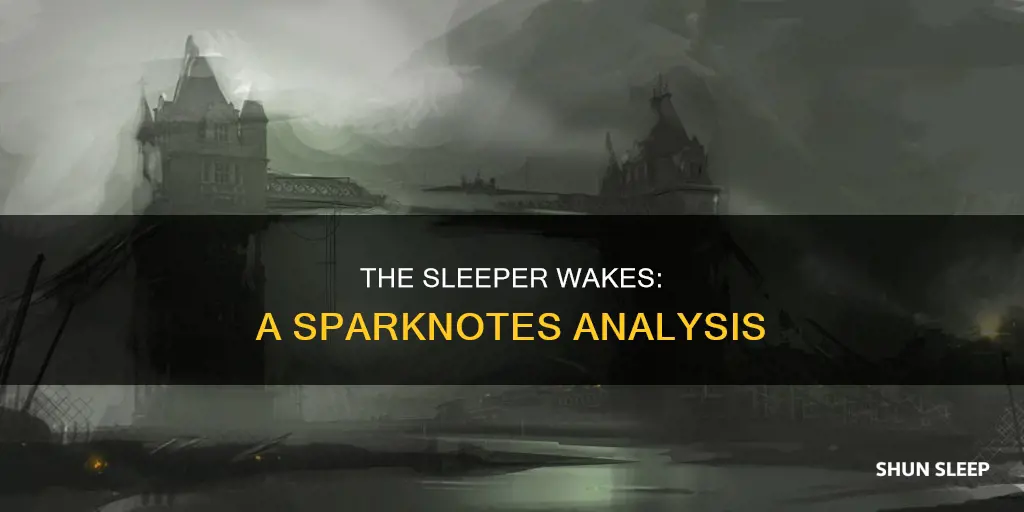 when the sleeper wakes sparknotes