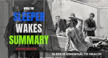 The Awakening: A Journey Through 'When the Sleeper Wakes