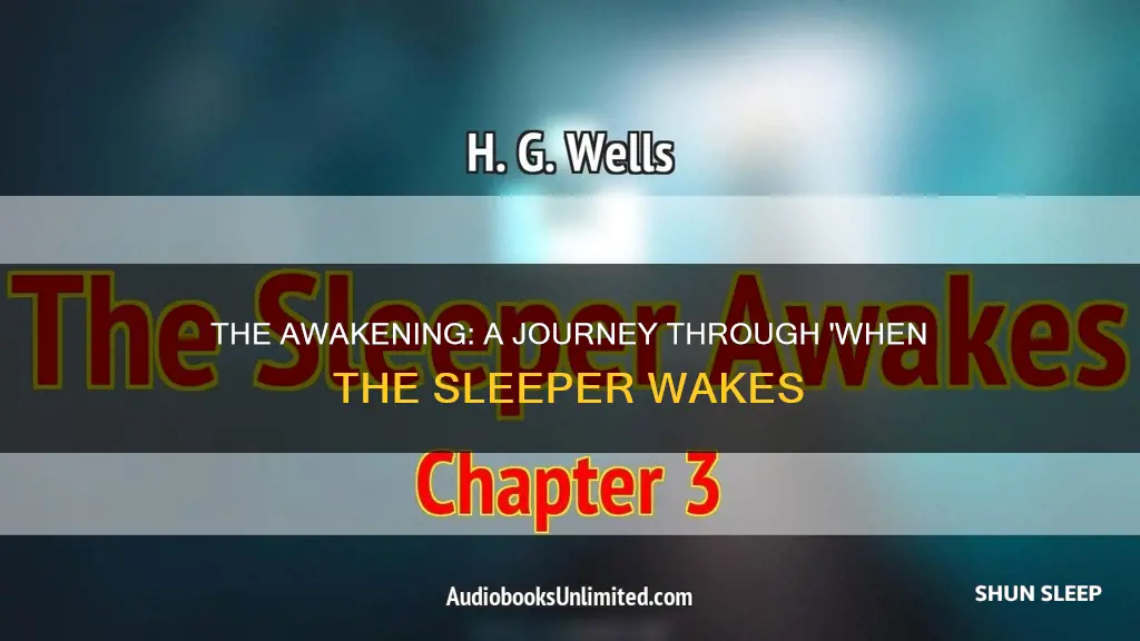 when the sleeper wakes summary