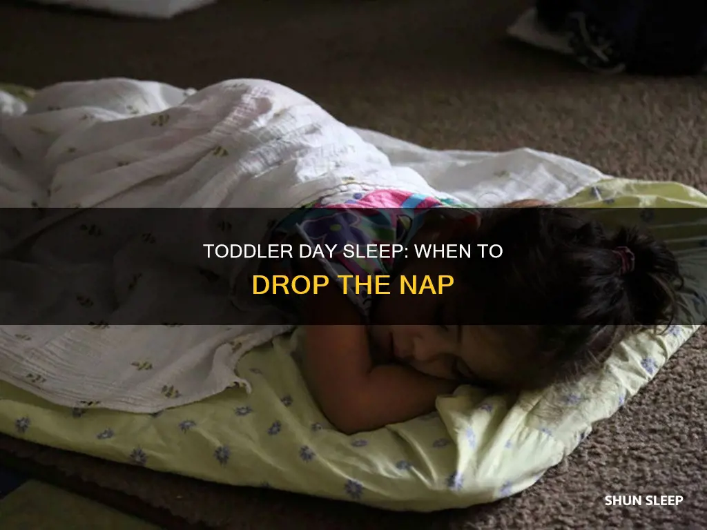 when to drop toddler day sleep