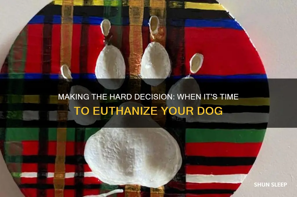 when to get a dog put to sleep