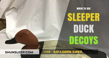 How Sleeper Duck Decoys Can Help You This Hunting Season