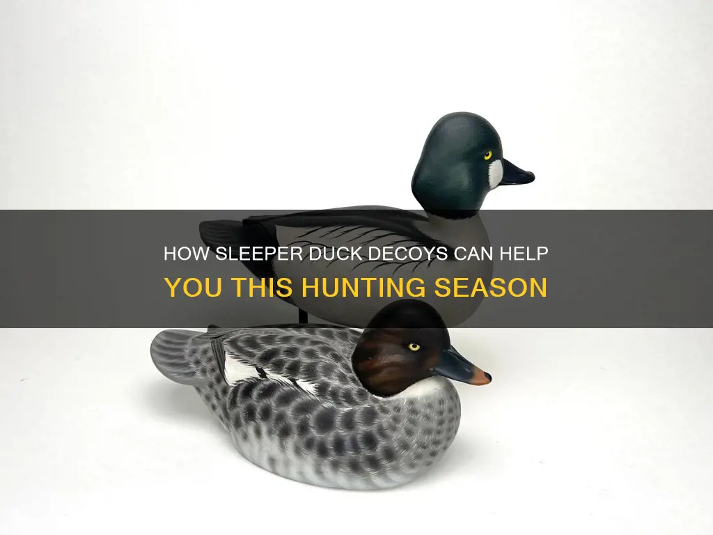 when to use sleeper duck decoys