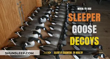 Goose Hunting: Sleeper Decoys for a Successful Hunt