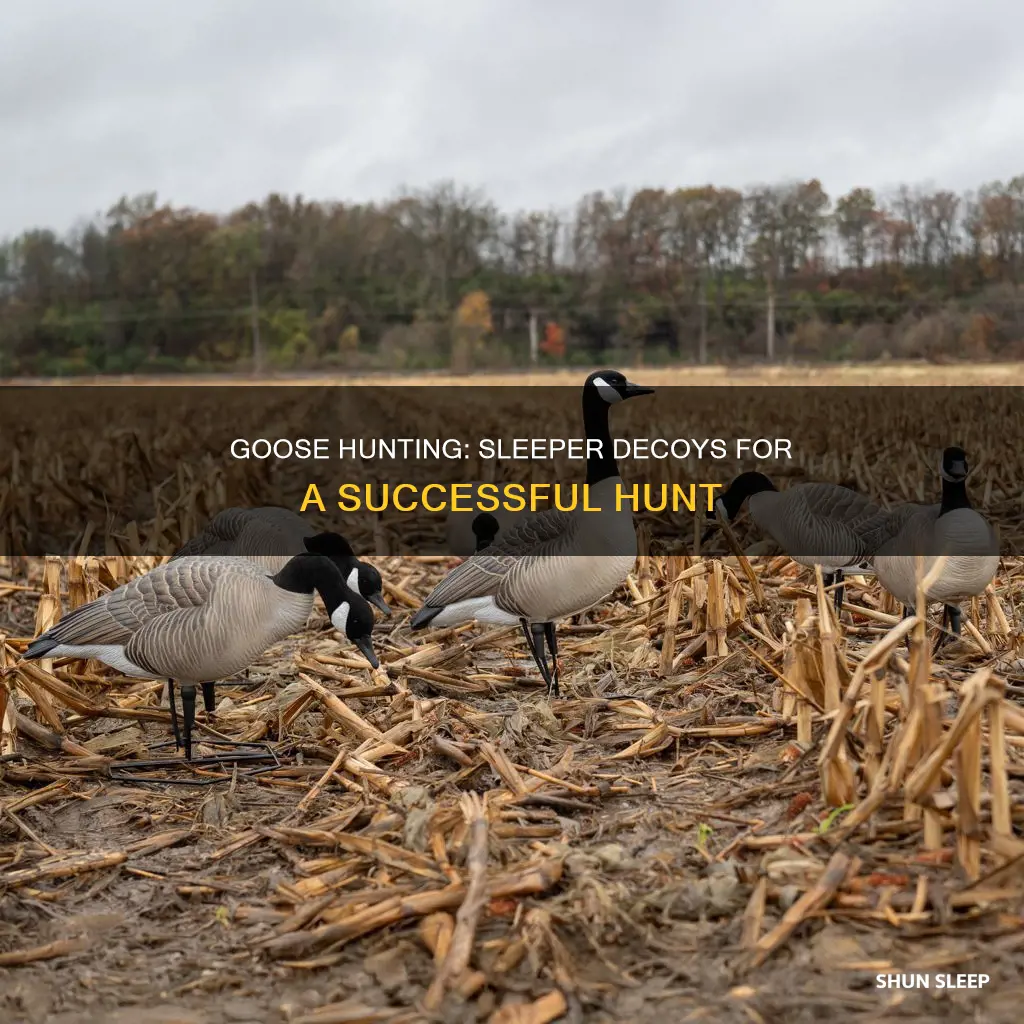 when to use sleeper goose decoys
