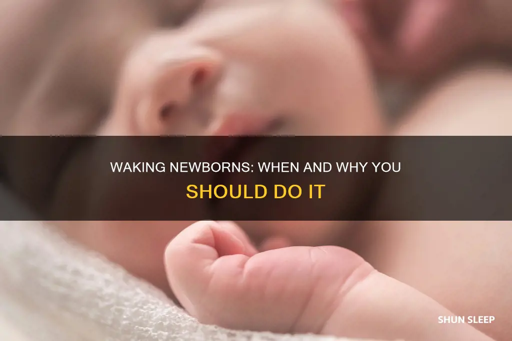 when to wake a sleeping newborn