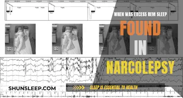 REM Sleep Excess: Narcolepsy's Signature