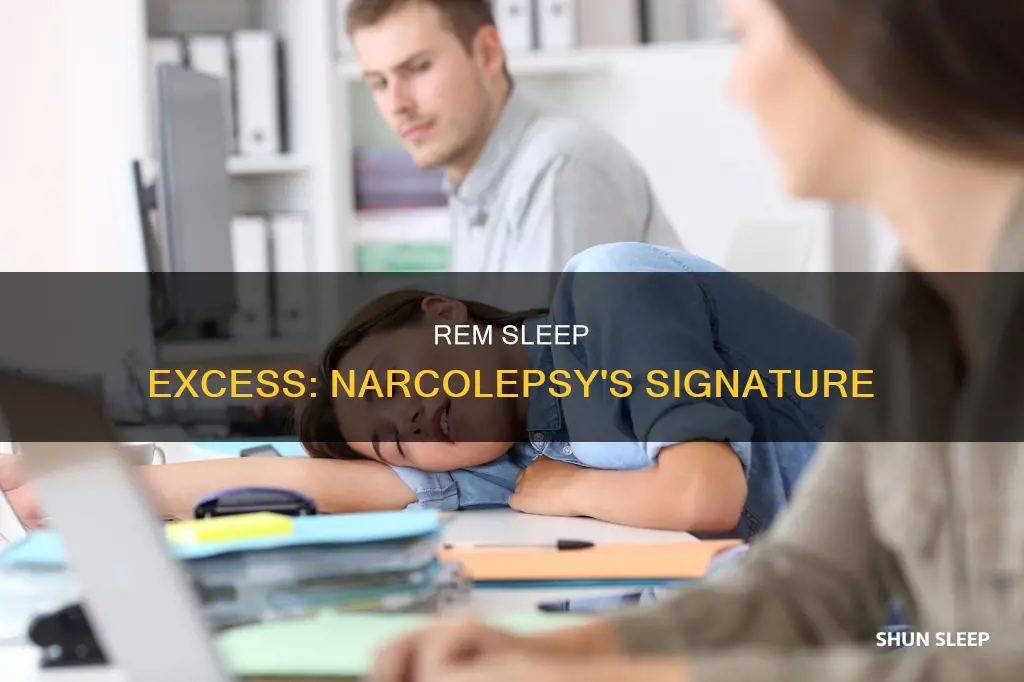 when was excess rem sleep found in narcolepsy