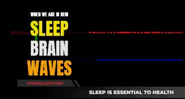 Brain Waves During REM Sleep: Understanding the Science