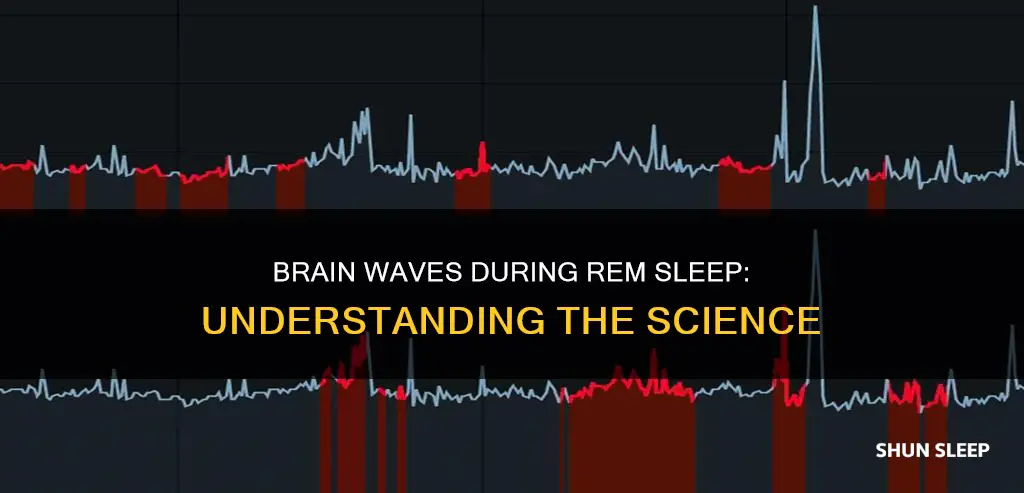 when we are in rem sleep brain waves