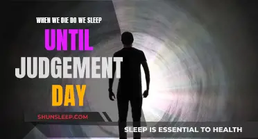 The Sleep of Death: Judgment Day Awaits