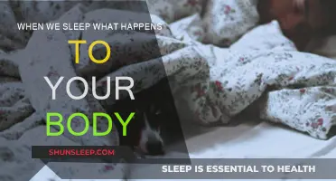 Sleep: Body's Restoration and Rejuvenation Process