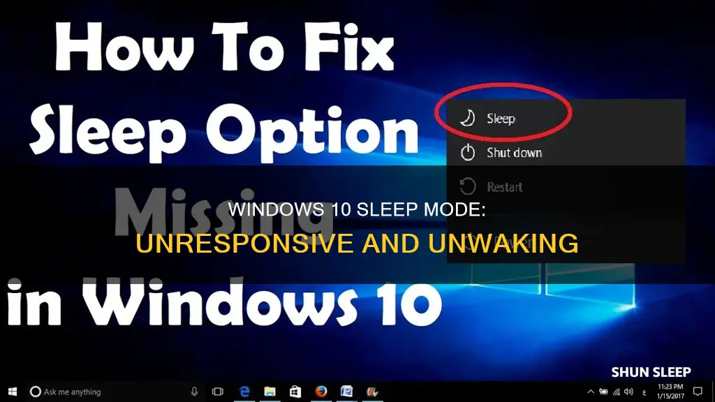 when windows 10 goes to sleep it won