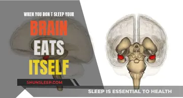 Brain on No Sleep: It Eats Itself