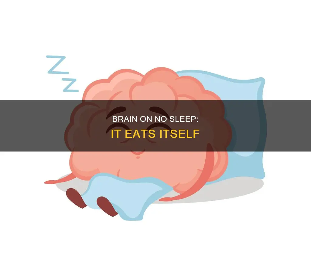 when you don t sleep your brain eats itself