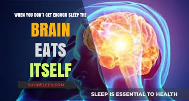 Sleep Deprivation Triggers Brain Self-Cannibalism: Alarming Science Revealed
