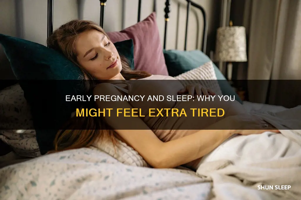 when you first get pregnant do you sleep a lot