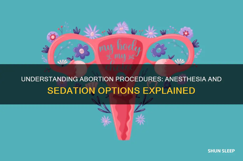 when you get abortions do they put you to sleep