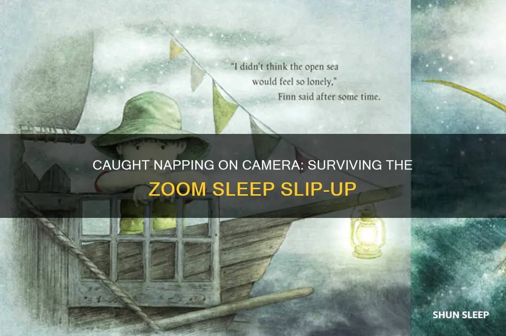 when you get caught sleeping on the zoom