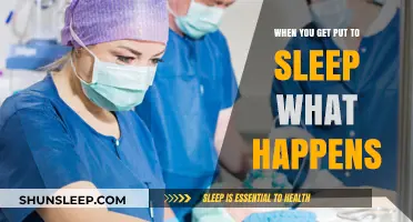 Unveiling the Mystery: What Happens When You're Put to Sleep?