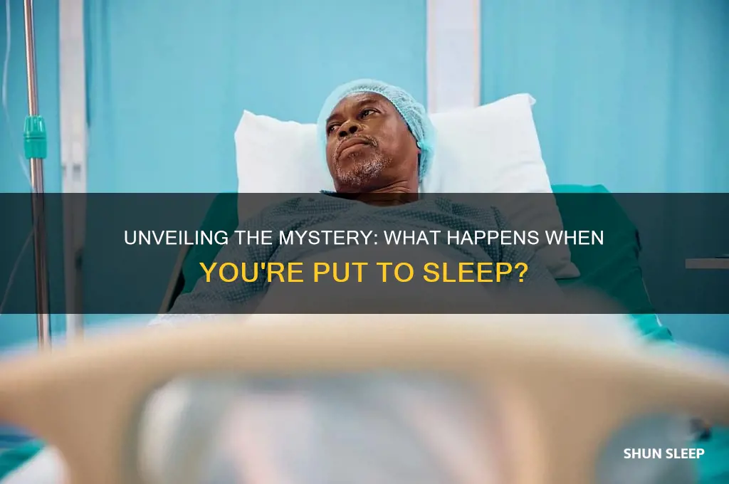when you get put to sleep what happens