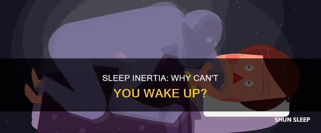 when you sleep but can t wake up