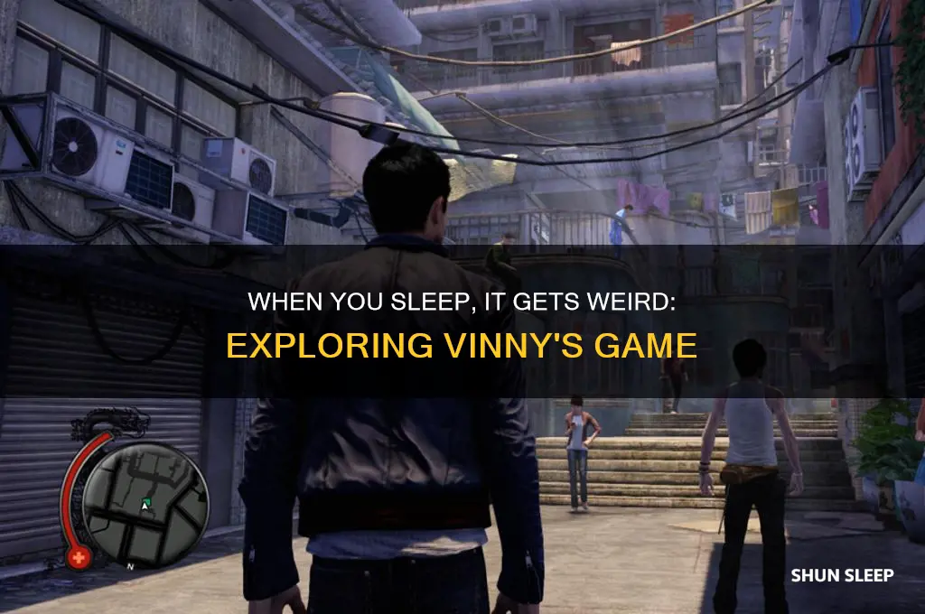when you sleep it gets weird the game vinny