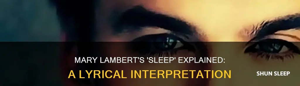 when you sleep mary lambert meaning
