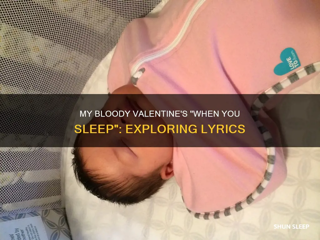when you sleep my bloody valentine meaning
