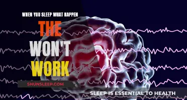 Sleep: The Mind's Unconscious Work