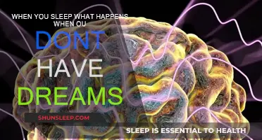 The Science Behind Dreamless Sleep