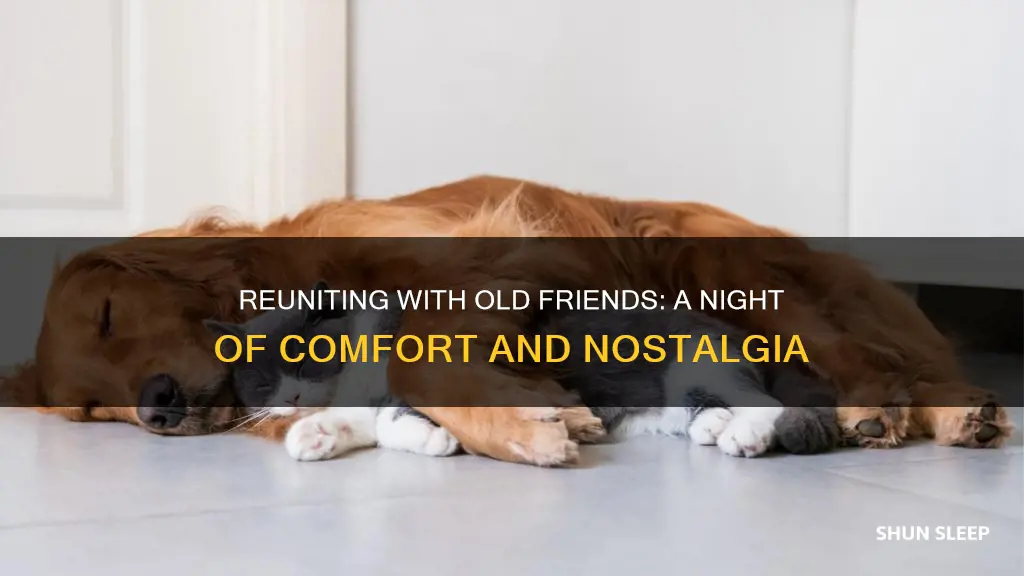when you sleep with an old friend