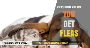 Sleeping with Dogs: The Flea-Infested Consequences of Poor Choices