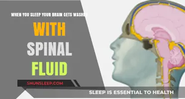 Sleep's Secret: How Spinal Fluid Cleans Your Brain Overnight