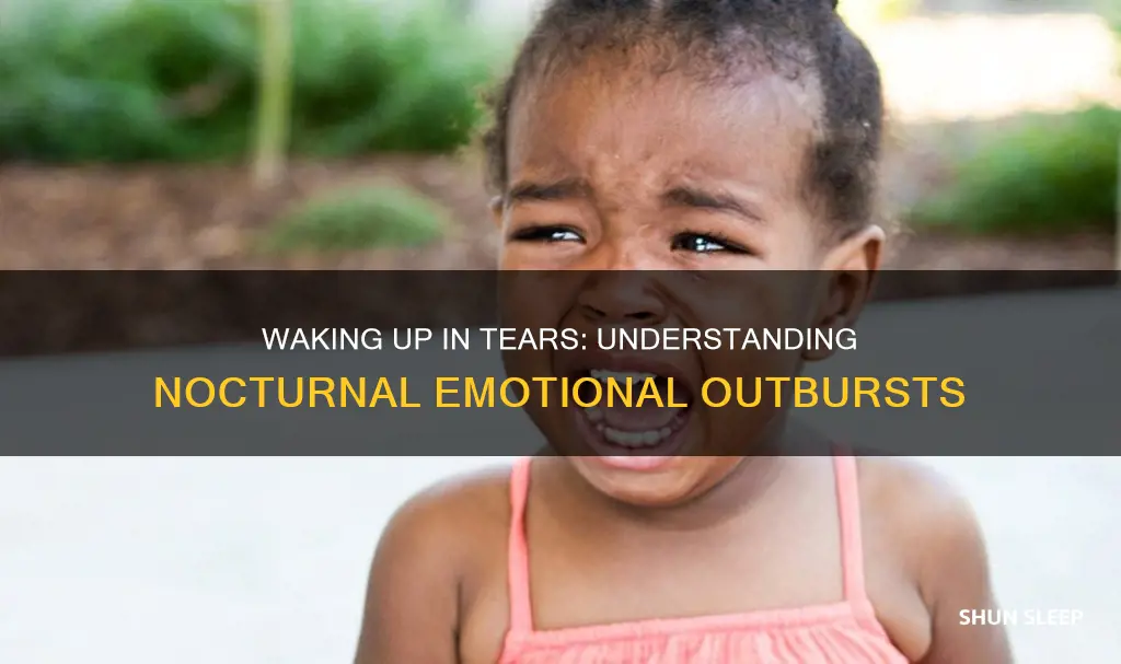 when you wake up crying in your sleep