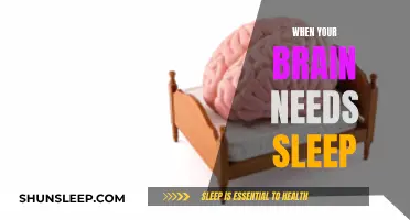 Brain Sleep: Why Your Brain Needs Rest