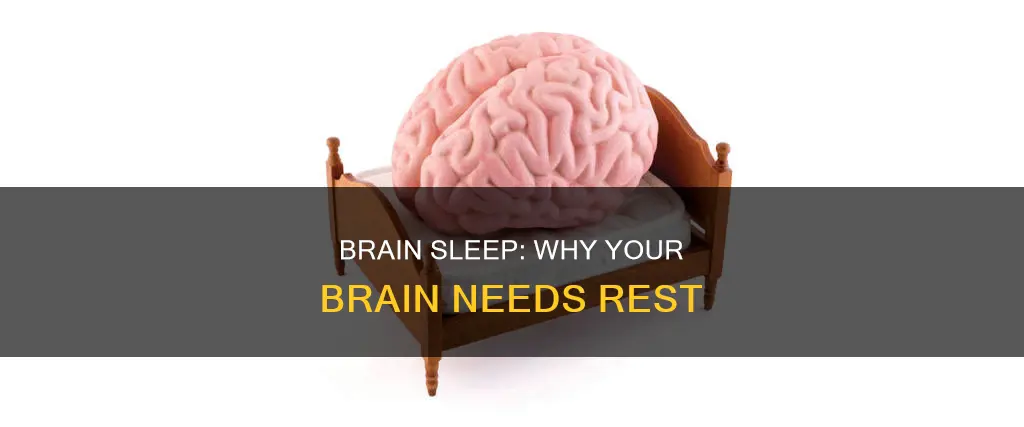 when your brain needs sleep