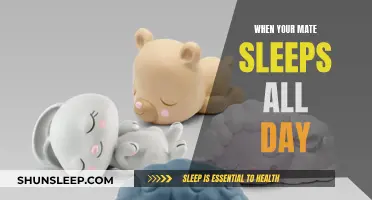 Daytime Slumber: Navigating Your Mate's Sleep Schedule