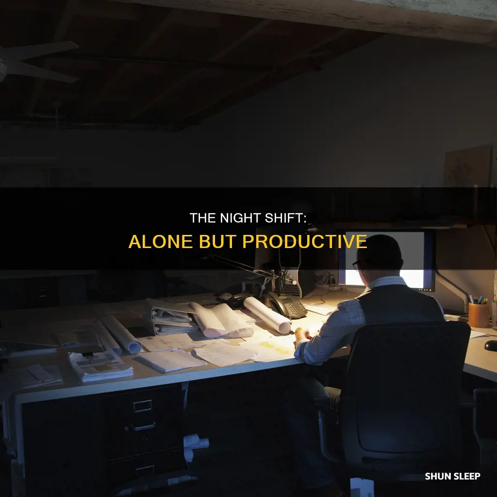 when your work and everyone else is sleeping
