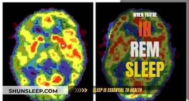 The Science of REM Sleep: Understanding Dreams and Memory