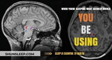 The Brain's Active Sleep Agency